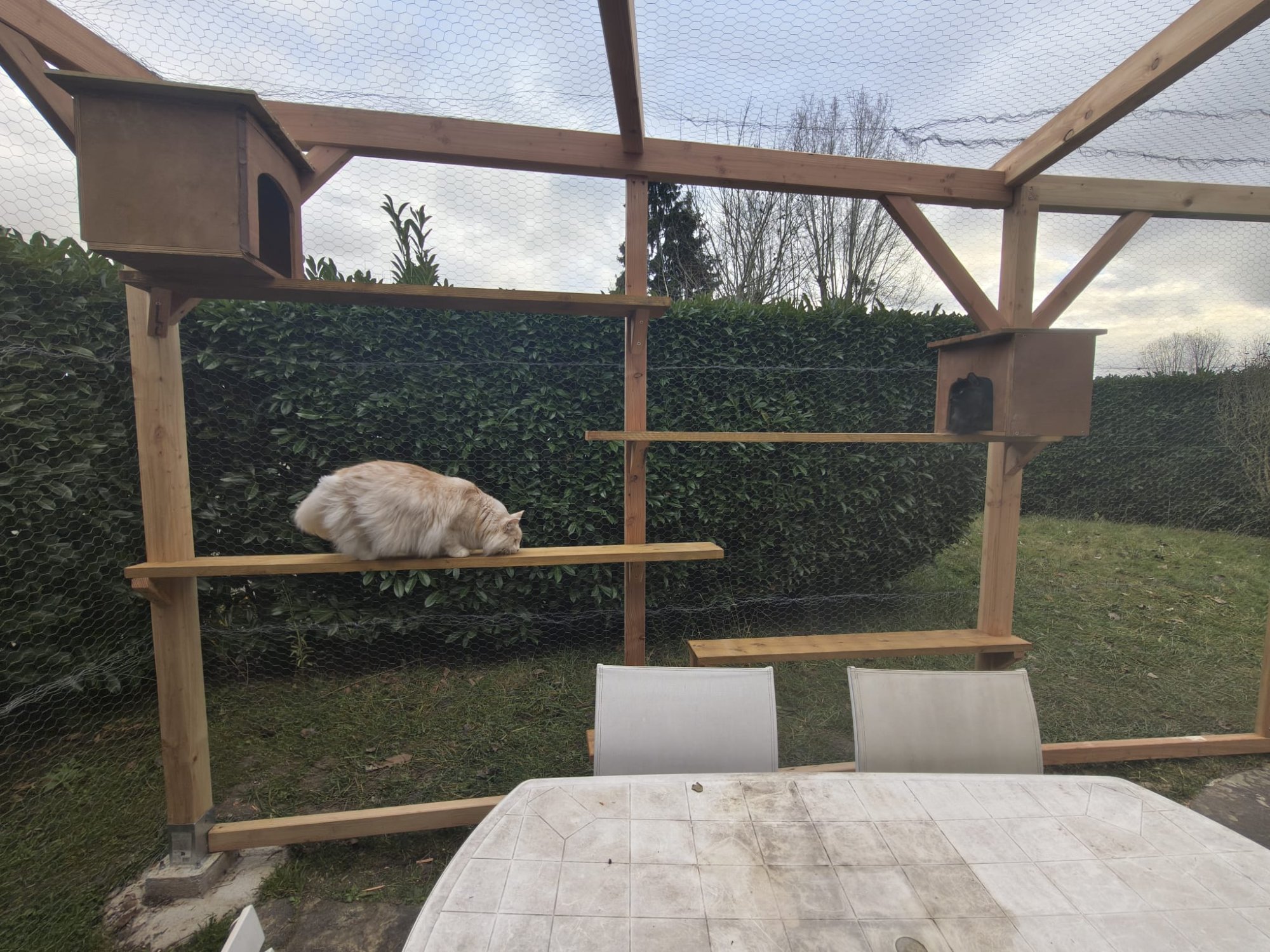 Constructions pour Animaux