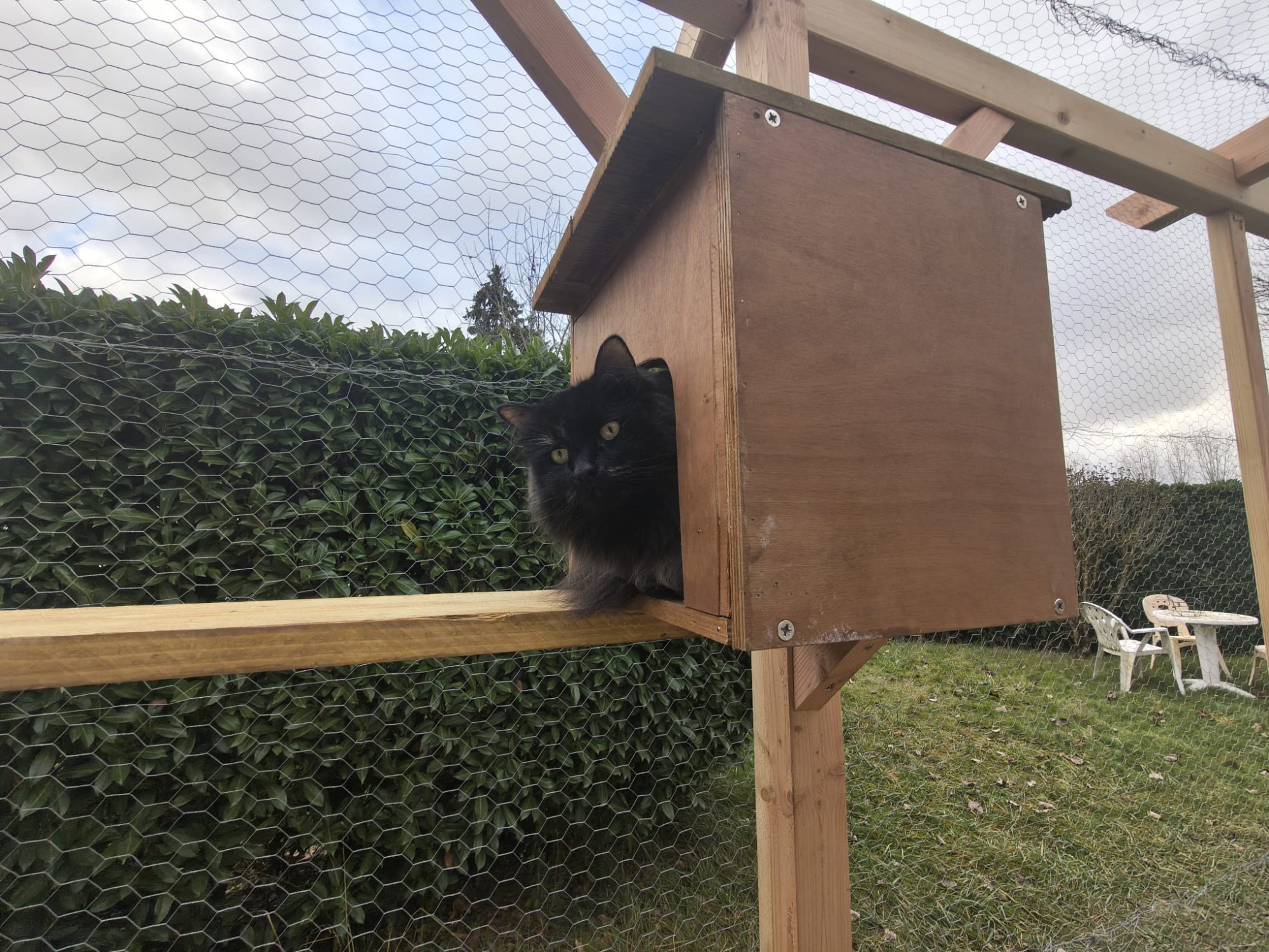 Arbres à Chat sur mesure