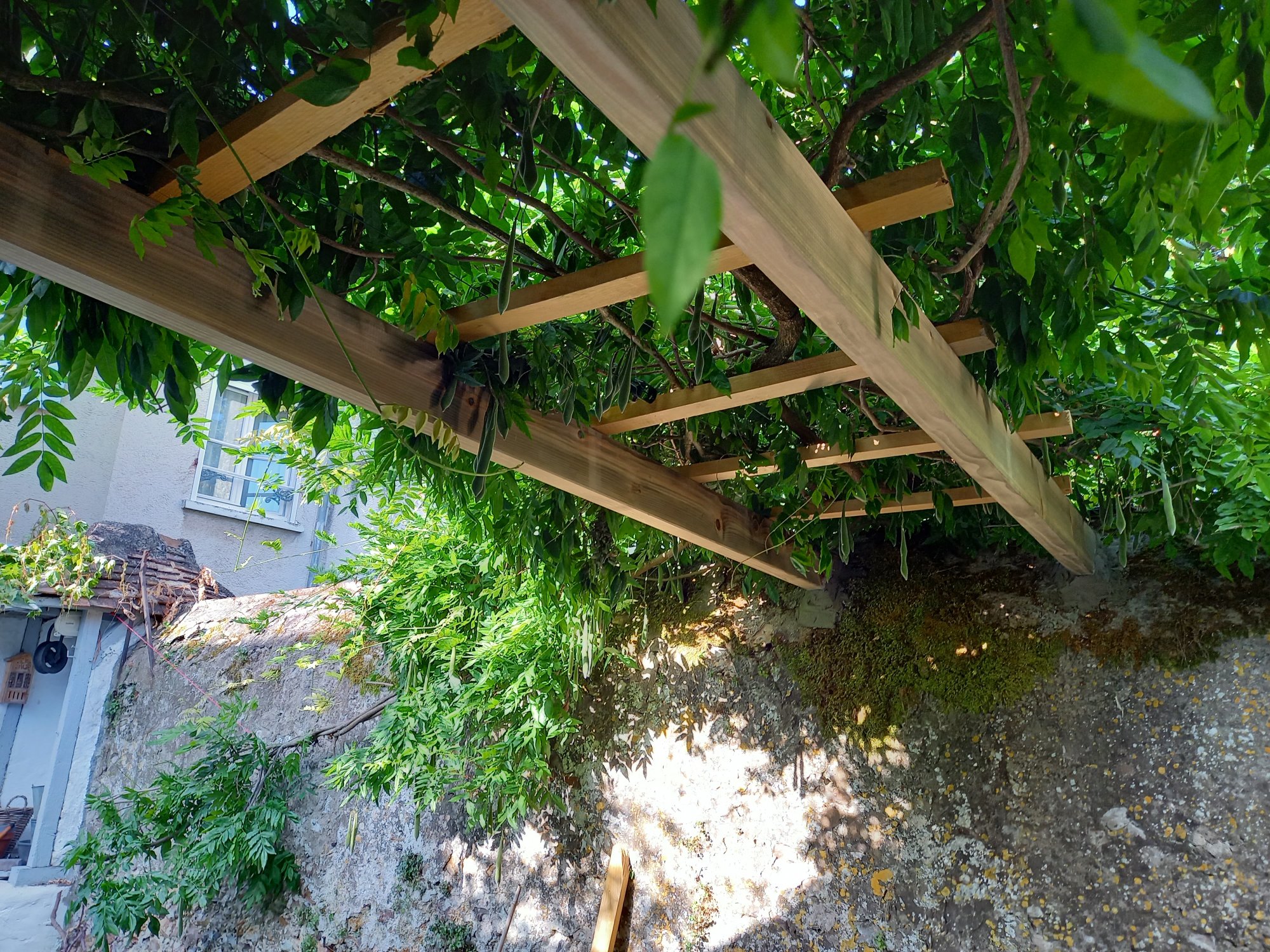 Support pour glycine